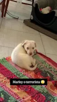 Marley