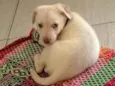 Marley