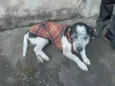 não sei