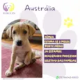 Austrália 