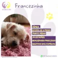 Francezinha