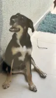 Bolt