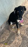 Bolt