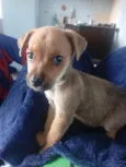Max 