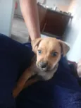 Max 