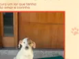 pirata