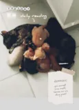 mãe gata e seus 6filhotes