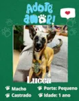 Lucca 