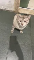 Luck 