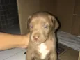 Mabel