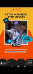 Pirata