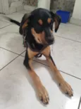Billy