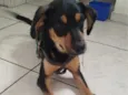 Billy