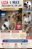 Liza e Max