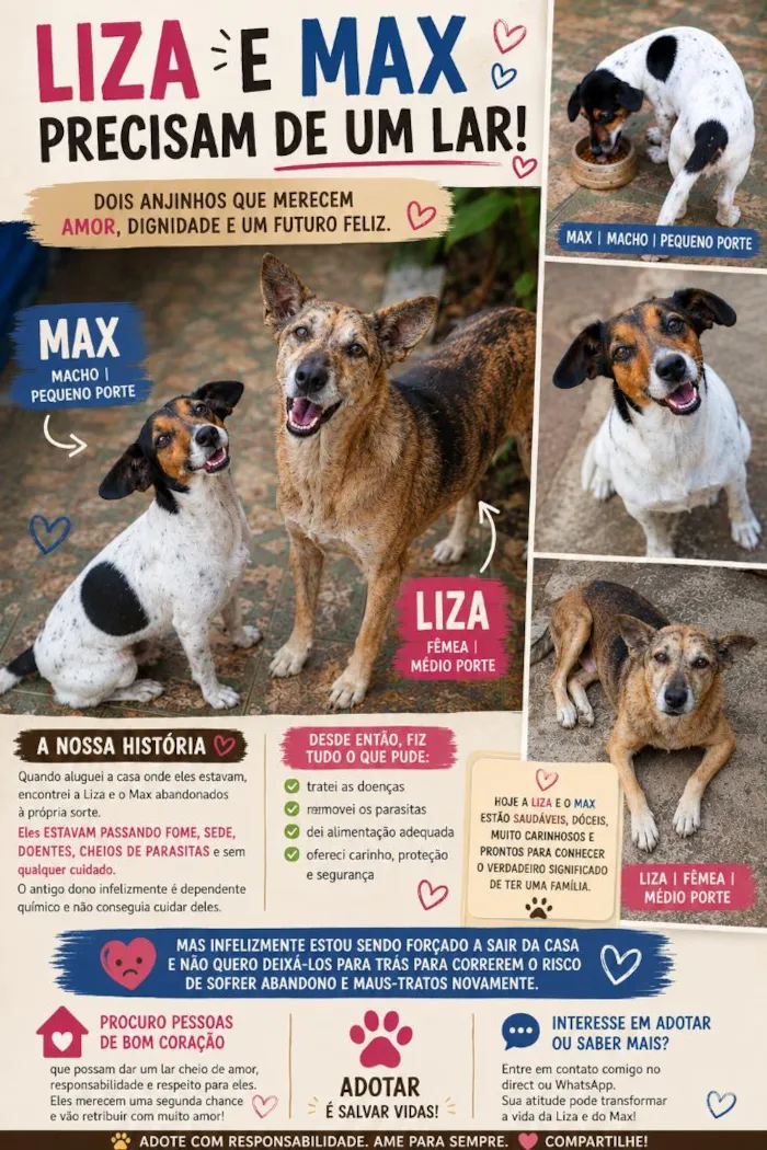 Cachorro raça SRD-ViraLata idade 6 ou mais anos nome Liza e Max