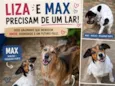 Liza e Max