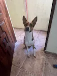 Não tem