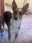 Não tem