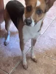 Não tem