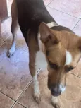 Não tem