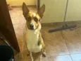 Não tem