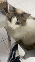 Maria