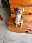 Mel