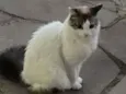 Maria