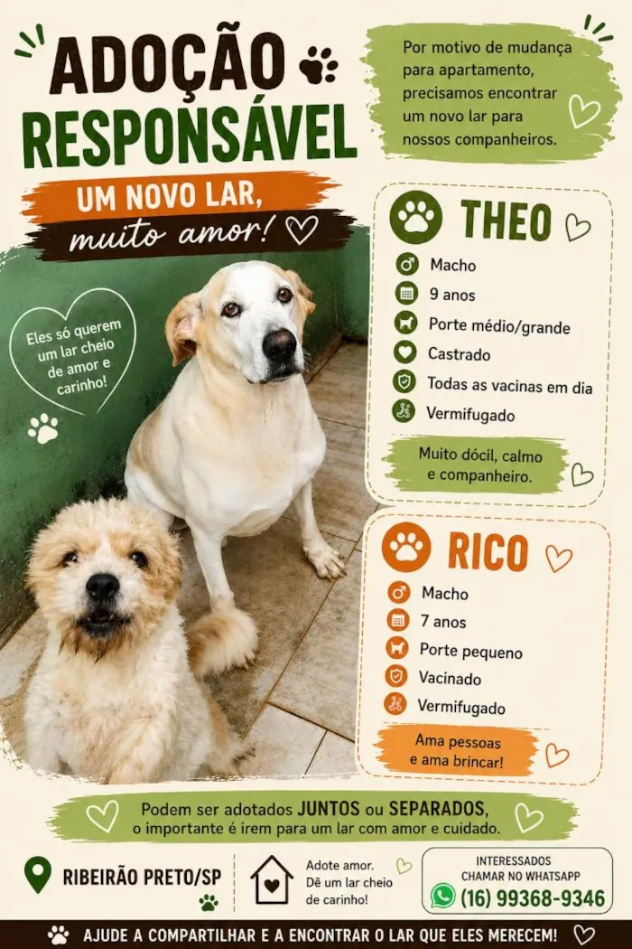 Cachorro raça SRD-ViraLata idade 6 ou mais anos nome Theo