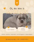 Marlon