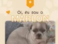 Marlon