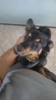 Billy