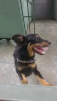 Billy