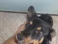 Billy