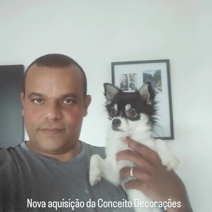 Cachorro raça SRD-ViraLata idade 1 ano nome Nick