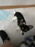 Nick