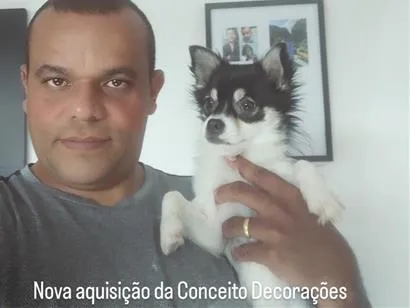 Cachorro raça SRD-ViraLata idade 1 ano nome Nick