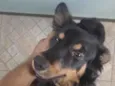 Billy