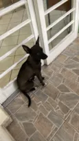 Ella
