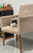 Xavier 
