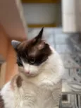 Xavier 