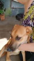 Nina
