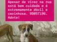 Lilica