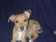 Zé