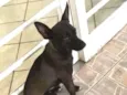 Ella
