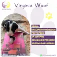 Virginia