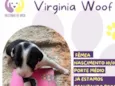 Virginia