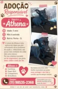 Athena