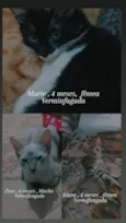 nala,mailon,marie,kiara,zaion