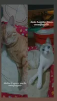 nala,mailon,marie,kiara,zaion